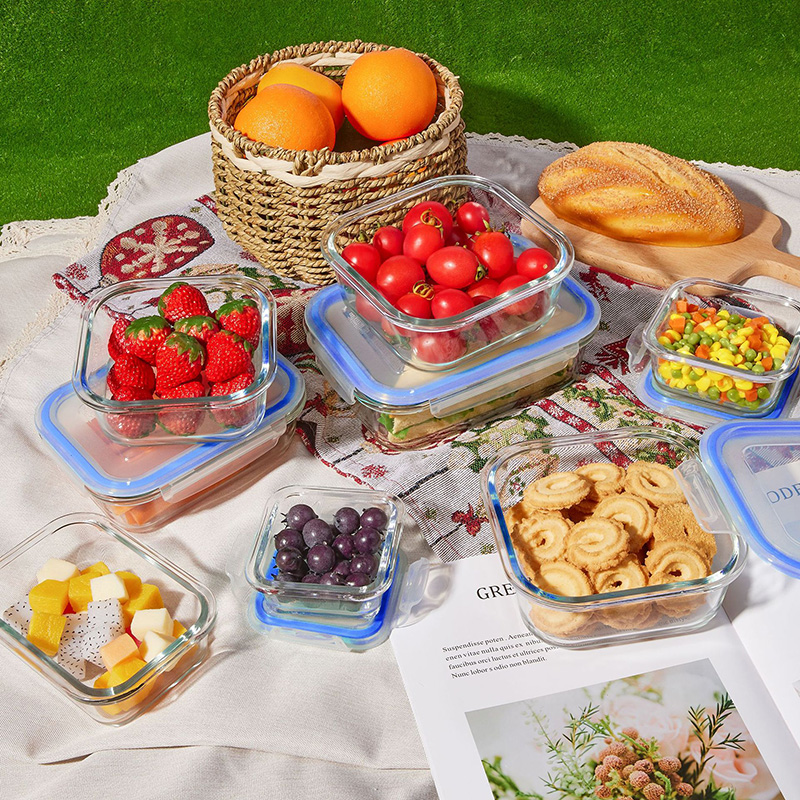 Glass Meal Prep Containers Lun - Meal Prep Box recensie en prijs