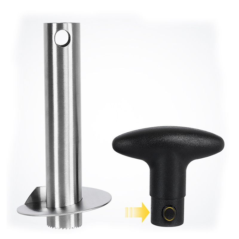 1Pc Stainless Steel Easy to us - Pineapple Corer Slicer recensie en prijs