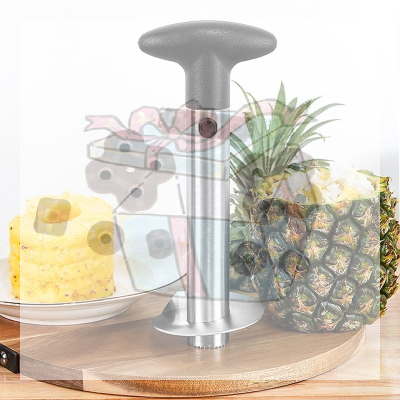 【CC】Stainless Steel Pineapple  - Pineapple Corer Slicer recensie en prijs
